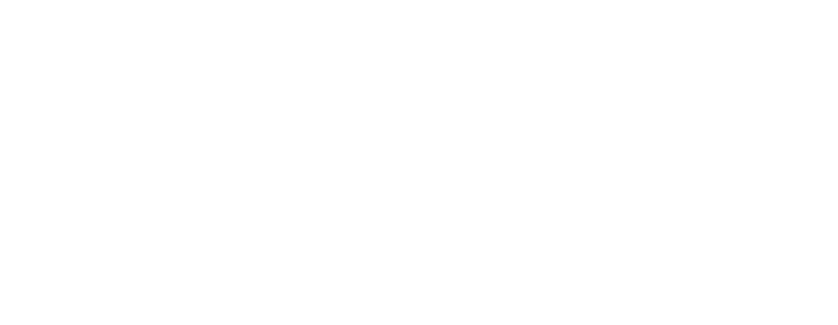 Logo Footer